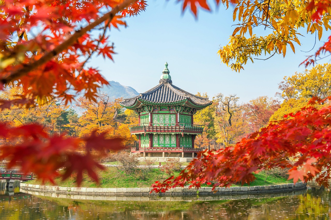 지방흡입 부위별 비용, 서울 병원 비교